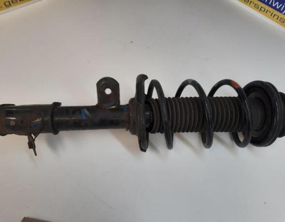 Suspension Strut SUZUKI Alto (GF)