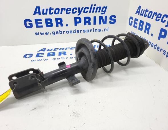 Federbein links vorne Renault Clio Grandtour IV R 543022511R P19808069