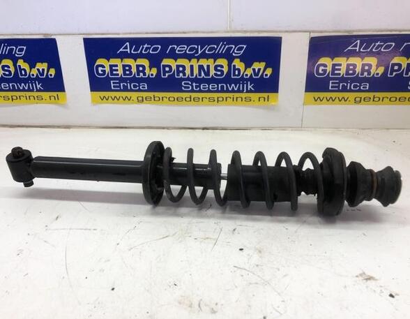 Suspension Strut VW POLO (6N2)