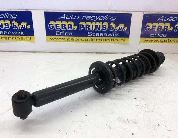 Suspension Strut VW POLO (6N2)