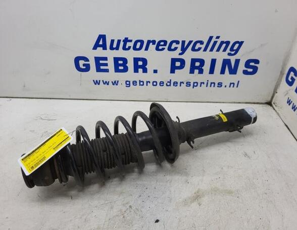 Suspension Strut AUDI A3 (8L1)