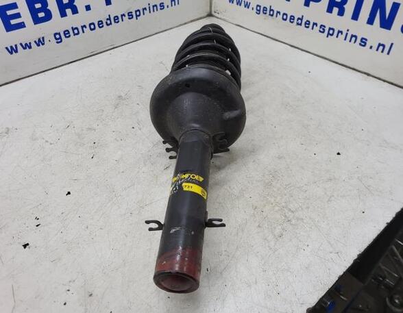 Suspension Strut AUDI A3 (8L1)