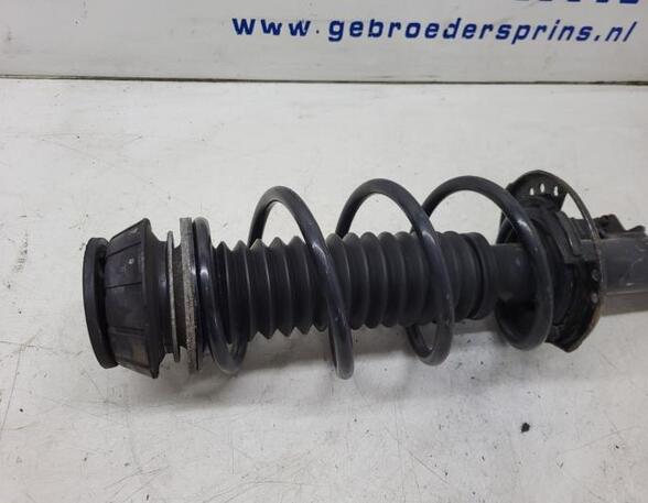 Federbein links vorne Suzuki Vitara LY 4160254PA0 P20968730