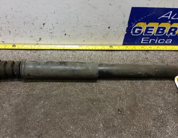 Shock Absorber RENAULT Twingo II (CN0)