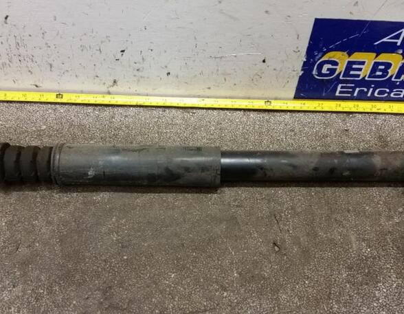 Shock Absorber RENAULT Twingo II (CN0)