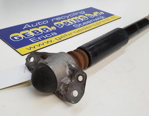 Shock Absorber VW Passat Variant (365)