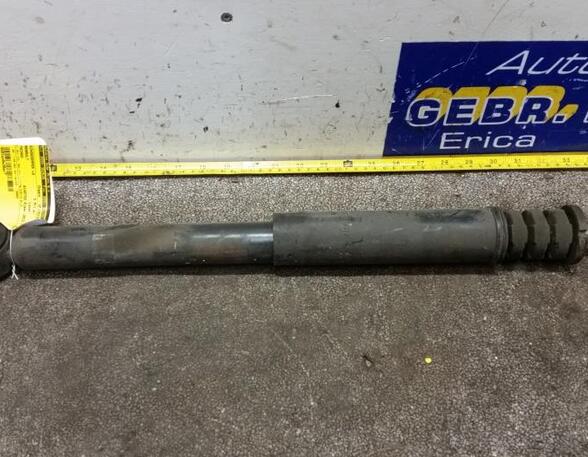 Shock Absorber RENAULT Twingo II (CN0)