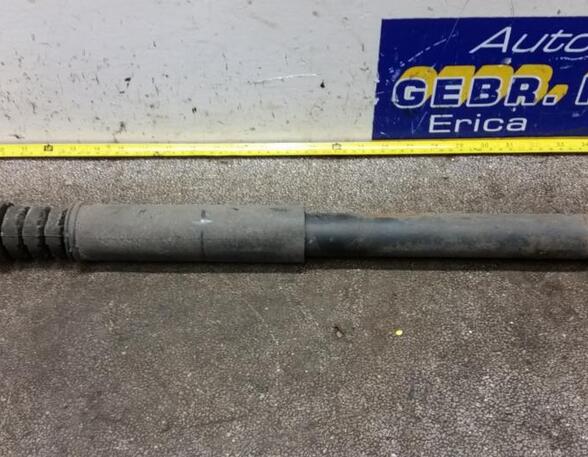 Shock Absorber RENAULT Twingo II (CN0)