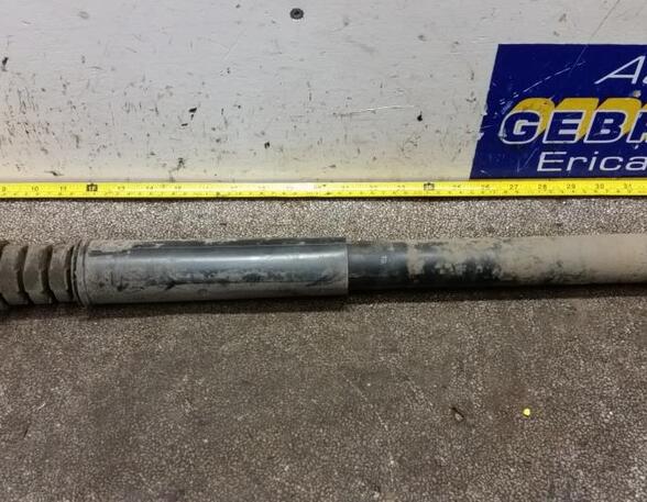 Shock Absorber RENAULT Twingo II (CN0)