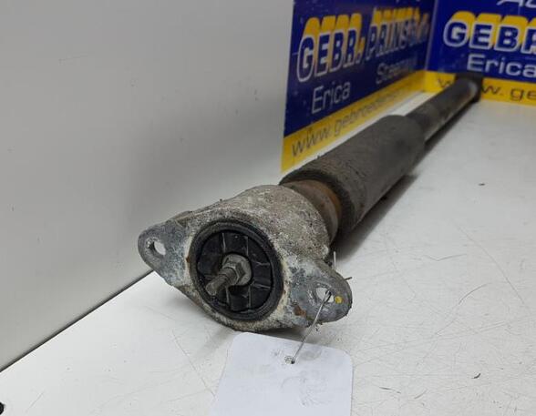 Shock Absorber FORD Fiesta VI (CB1, CCN)