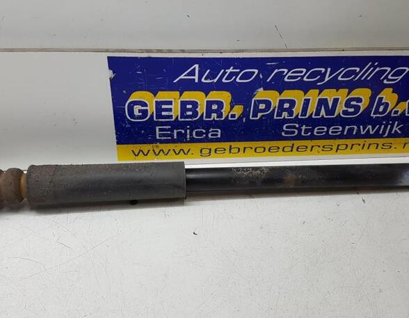 Shock Absorber FORD Fiesta VI (CB1, CCN)