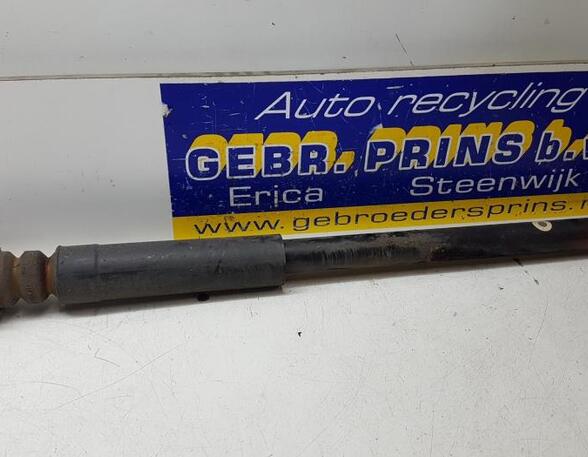 Shock Absorber FORD Fiesta VI (CB1, CCN)