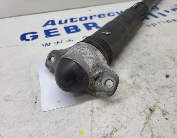 Shock Absorber VW Golf VII Variant (BA5, BV5)