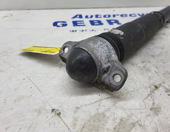 Shock Absorber VW Golf VII Variant (BA5, BV5)