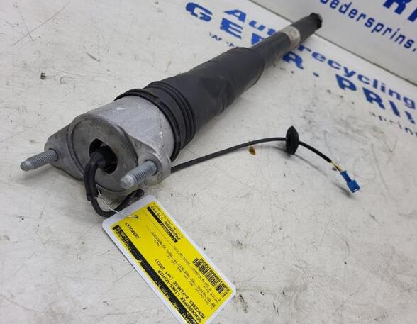 Shock Absorber MERCEDES-BENZ B-Klasse (W247)