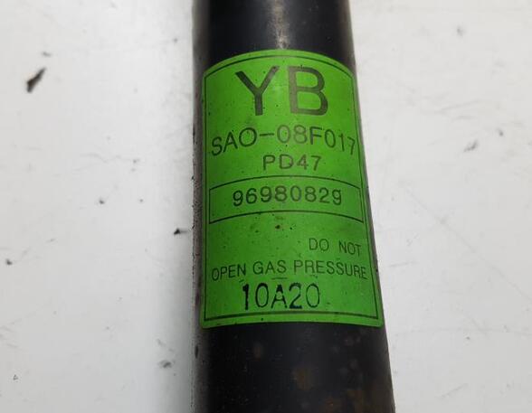 Shock Absorber CHEVROLET AVEO / KALOS Hatchback (T250, T255)