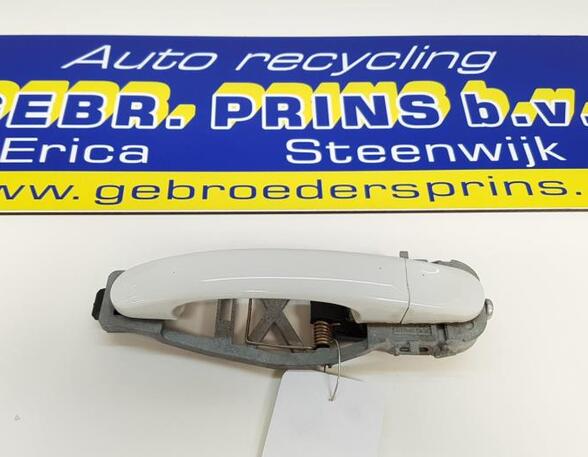 Grab Handle VW TOURAN (1T3), VW TOURAN (1T1, 1T2), VW TOURAN VAN (1T3), VW TOURAN (5T1)