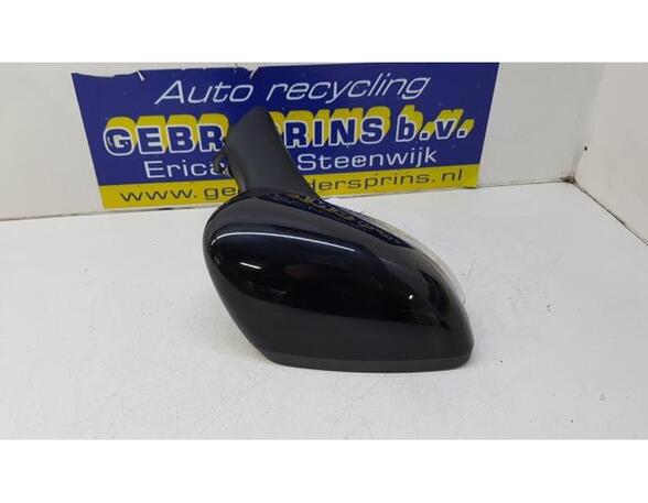 Wing (Door) Mirror RENAULT Captur I (H5, J5), RENAULT Clio IV (BH), RENAULT Clio III (BR0/1, CR0/1)