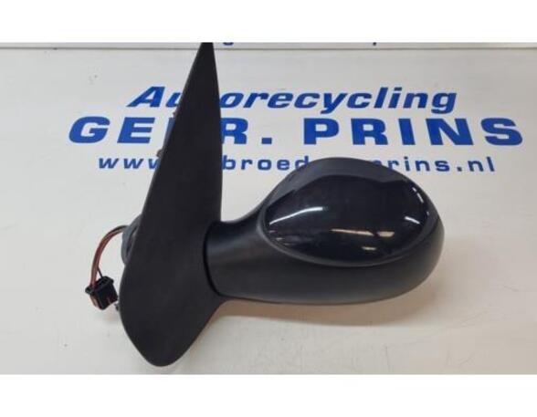 Wing (Door) Mirror PEUGEOT 206+ (2L, 2M)