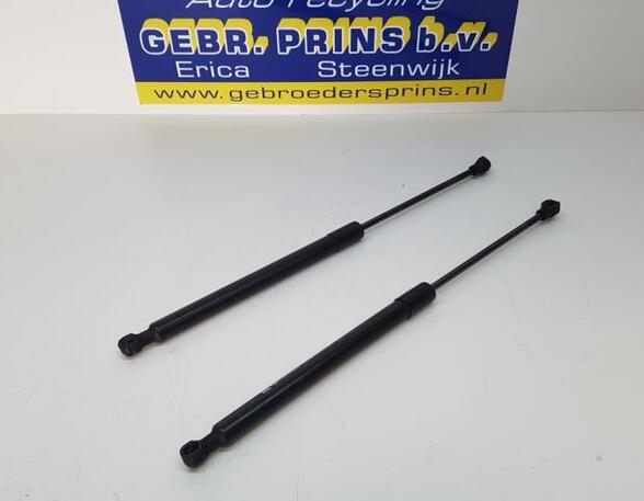 Gasveer kofferruimte RENAULT Captur I (H5, J5), RENAULT Clio IV (BH), RENAULT Clio III (BR0/1, CR0/1)