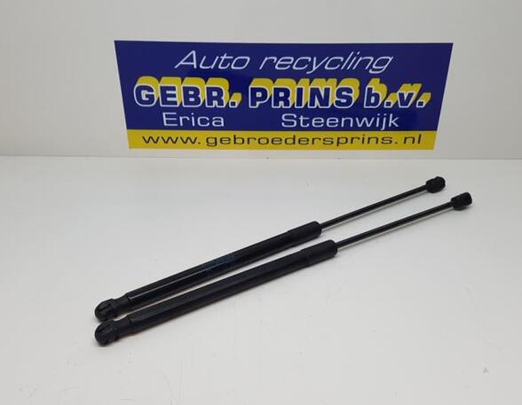 Bootlid (Tailgate) Gas Strut Spring AUDI A1 (8X1, 8XK), AUDI A1 Sportback (8XA, 8XF)