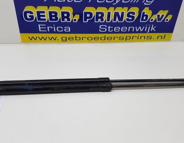 Heckklappendämpfer Nissan Qashqai II J11 904504EA P11301363