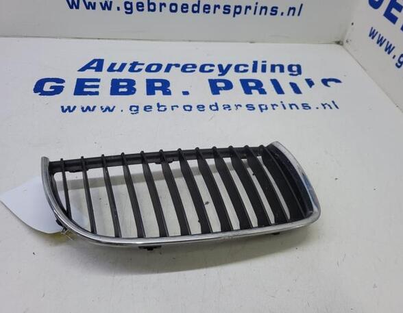 Radiator Grille BMW 3 (E90)