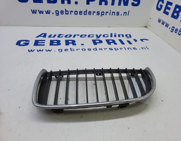 Radiator Grille BMW 3 (E90)