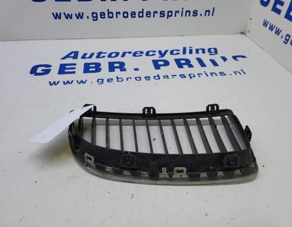 Radiator Grille BMW 3 (E90)