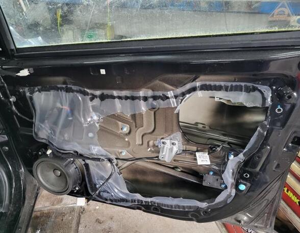 Door HYUNDAI i20 (PB, PBT)