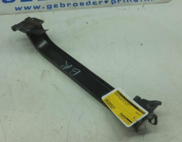 Door Check Strap RENAULT Master III Kasten (FV)