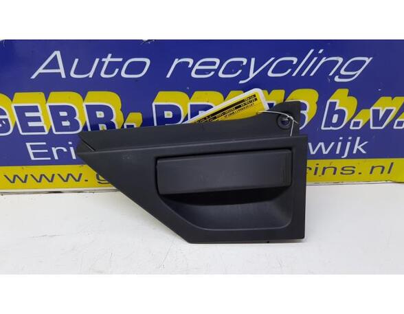 Door Handle RENAULT Twingo III (BCM)