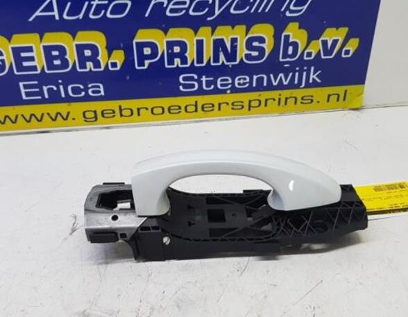 Door Handle VW Golf VII (5G1, BE1, BE2, BQ1)