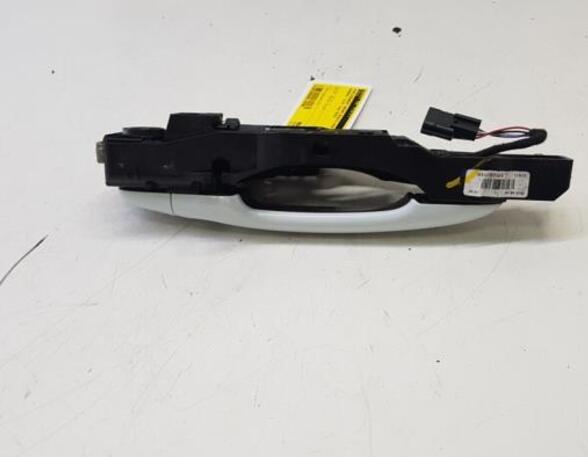 Door Handle RENAULT Captur I (H5, J5), RENAULT Clio IV (BH), RENAULT Clio III (BR0/1, CR0/1)