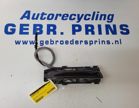 Door Handle VW POLO (AW1, BZ1)