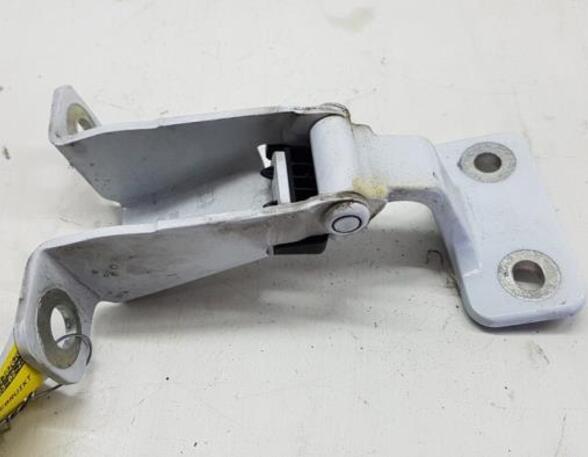 Door Hinge RENAULT Kangoo Express (FW0/1), RENAULT Kangoo/Grand Kangoo (KW0/1)