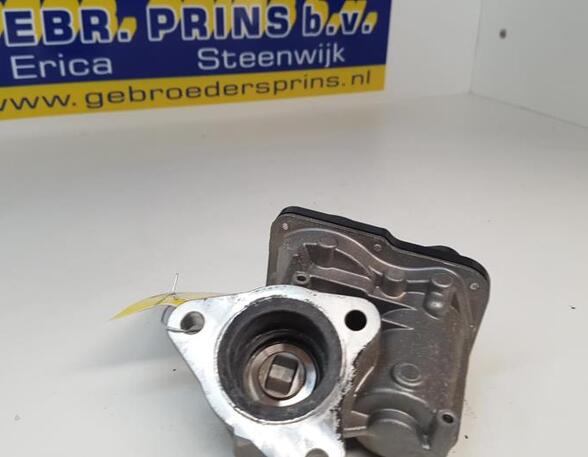 EGR Valve RENAULT Captur I (H5, J5), RENAULT Clio IV (BH)