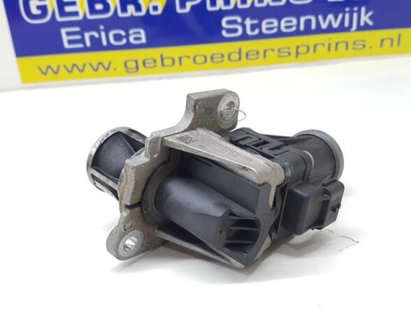 EGR Valve NISSAN QASHQAI II SUV (J11, J11_)