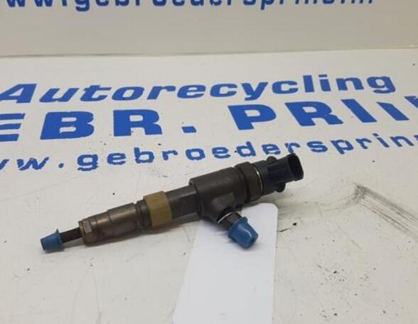 Injector Nozzle CITROËN C3 II (SC), CITROËN DS3 (--), PEUGEOT 208 I (CA, CC), FORD Fiesta VI (CB1, CCN)