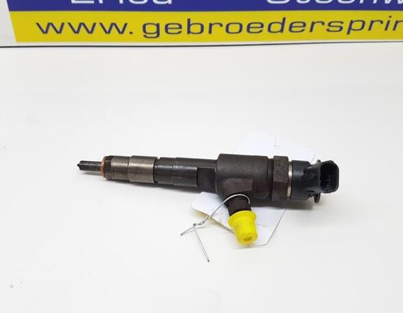 Injector Nozzle CITROËN C3 II (SC), CITROËN DS3 (--), PEUGEOT 208 I (CA, CC), FORD Fiesta VI (CB1, CCN)