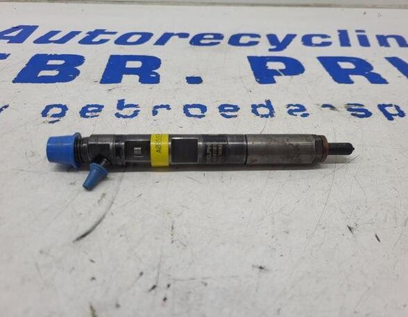 Injector Nozzle RENAULT Clio III (BR0/1, CR0/1)