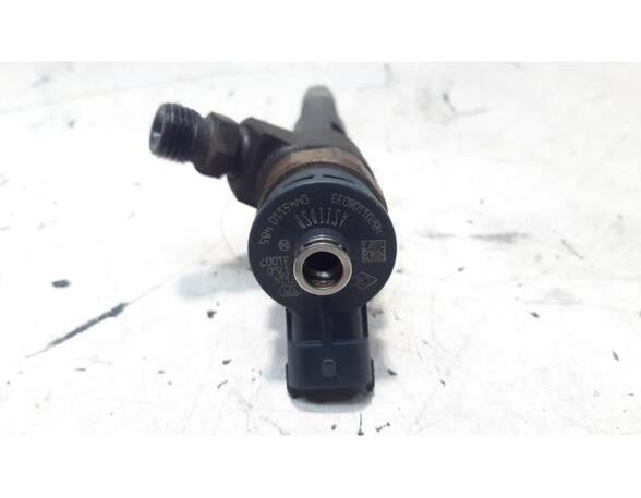 Injector Nozzle RENAULT CAPTUR I (J5_, H5_)