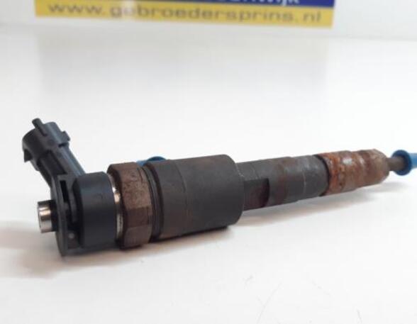 Injector Nozzle CITROËN C3 II (SC)