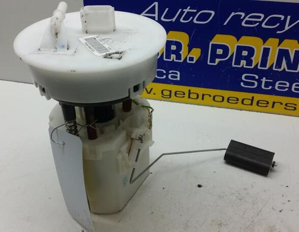 Fuel Pump FORD Fiesta VI (CB1, CCN)