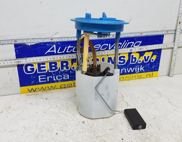 Fuel Pump VW Golf Plus (521, 5M1)