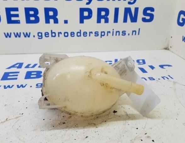 Coolant Expansion Tank RENAULT Captur I (H5, J5), RENAULT Clio IV (BH)