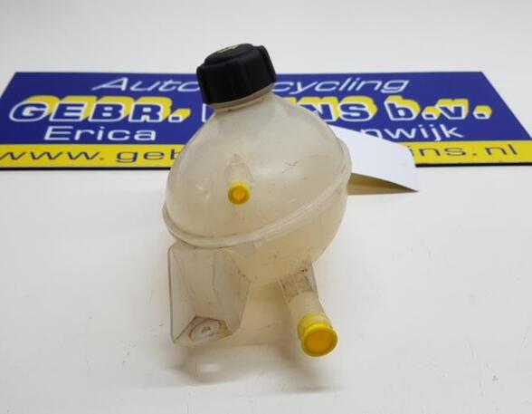 Coolant Expansion Tank RENAULT Clio IV Grandtour (KH)