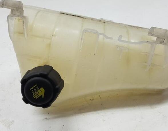 Coolant Expansion Tank RENAULT KANGOO Express (FW0/1_)