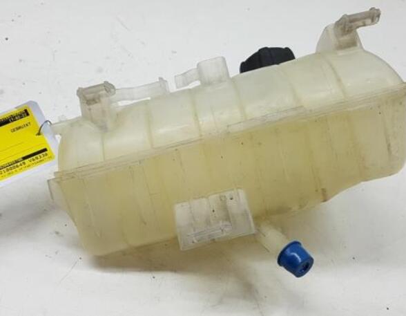 Coolant Expansion Tank RENAULT KANGOO Express (FW0/1_)