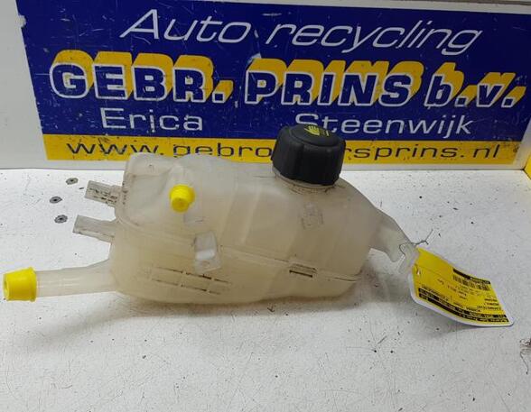 Coolant Expansion Tank RENAULT MEGANE III Grandtour (KZ0/1)